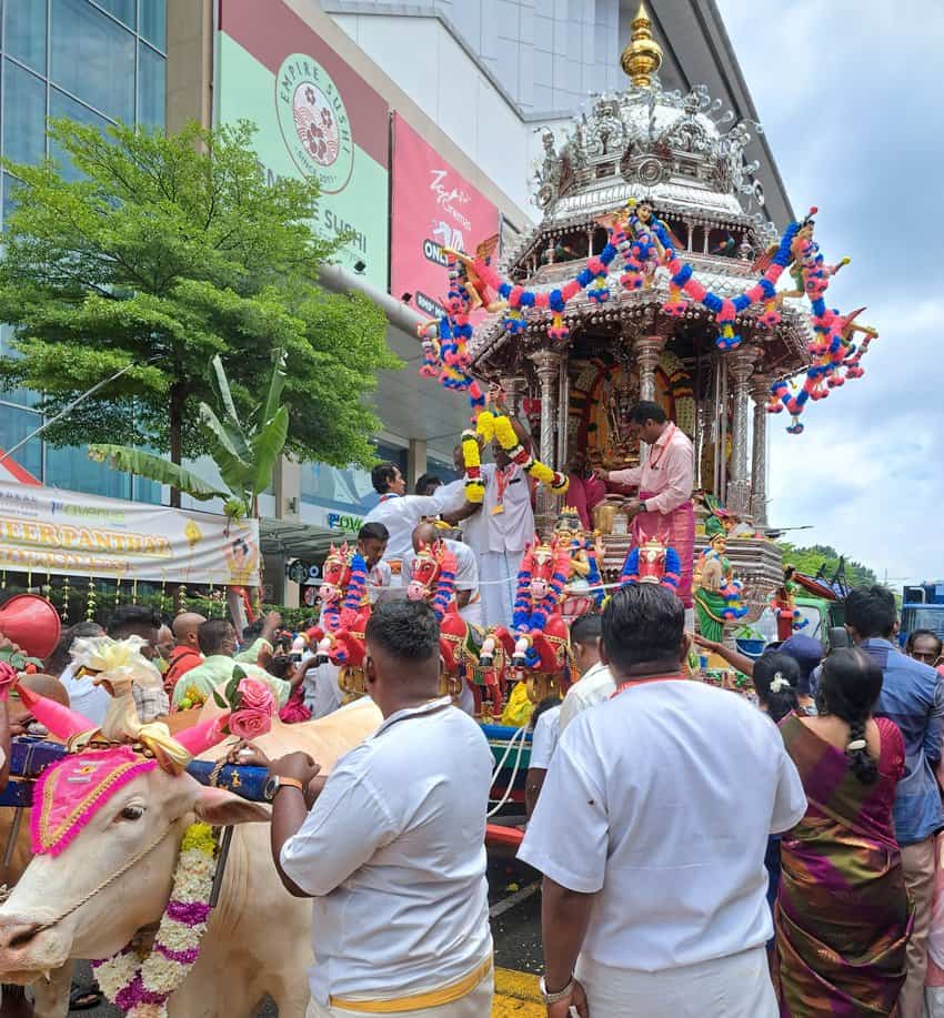 The chariot, pulled by oxen, rolls into the town and is surrounded by a sea of devotees