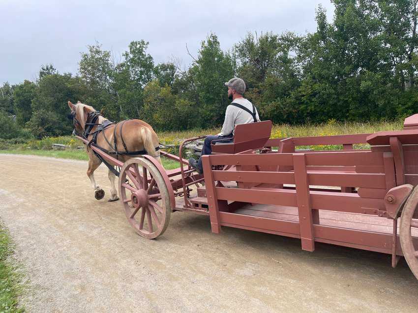 A horse and wagon takes visitors around at the Acadian Village in Bertrand NB.