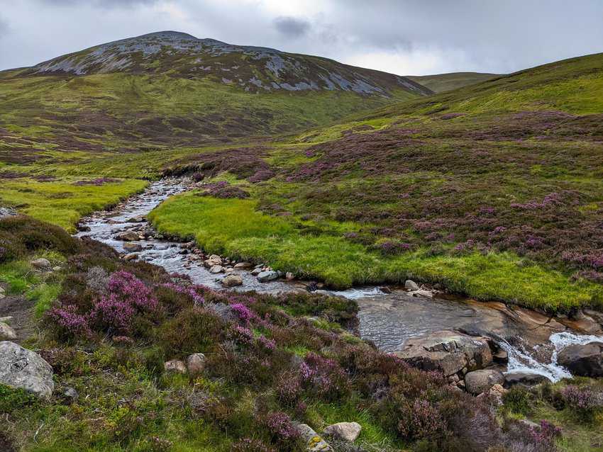 A peek at one of the beautiful Cairngorm Mountains in the Scottish Highlands. Kaelie Piscitello Photos