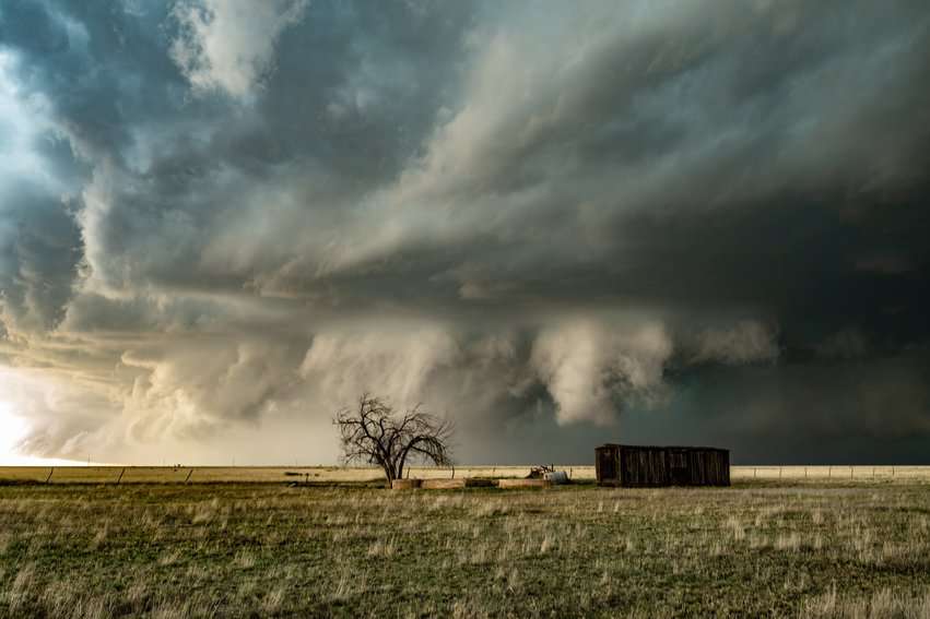 A lone tree and weather-worn boxcar provide a foreground element to a menacing sky composition.