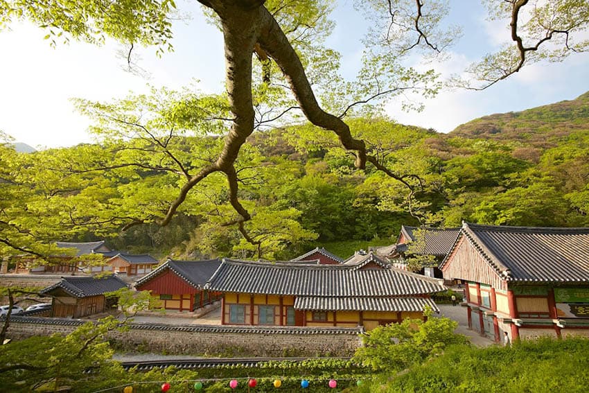 The beautiful Daeheungsa temple (Photo by Cultural Corps of Korean Buddhism)