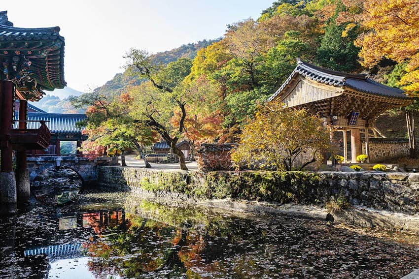 Songkwangsa temple surrounded by mesmerizing fall foliage (Photo by Cultural Corps of Korean Buddhism)
