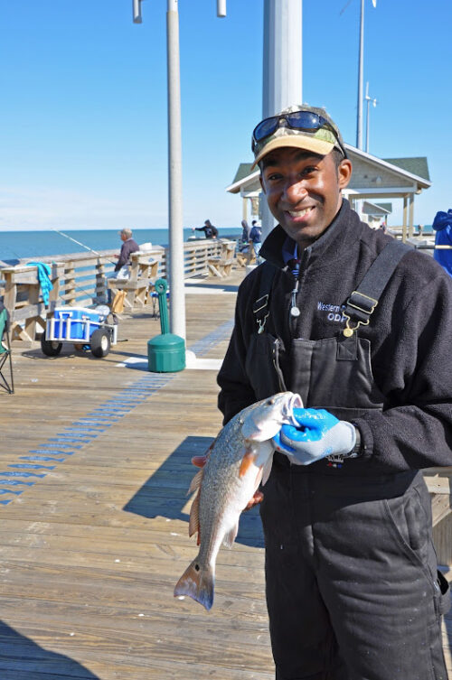 Outer Banks Fish (+Fishing) for Visitors