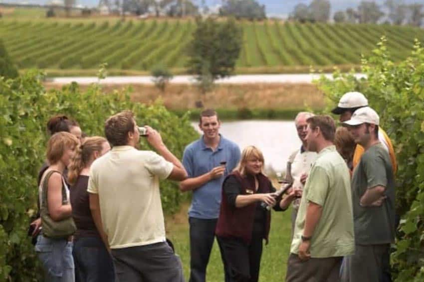 Australian Wine Tours in the Yarra Valley.
