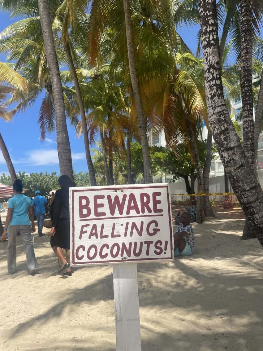 Beware of falling coconuts!