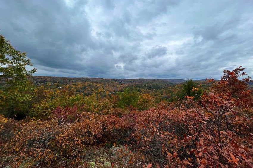A peek into the fall foliage in Connecticut. Kaelie Piscatello photos.