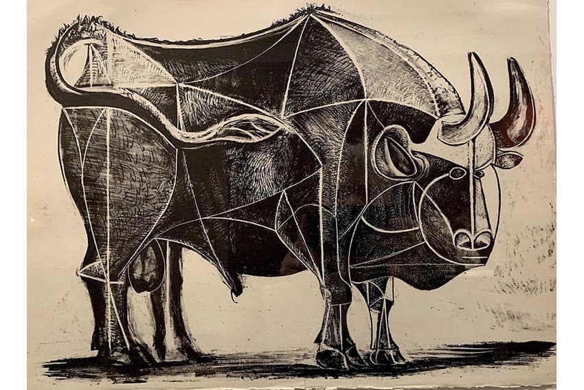 Picasso’s “The Bull” at his birthplace museum.