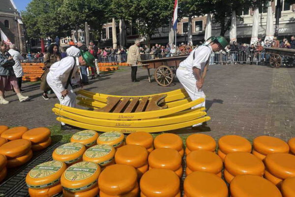 Alkmaar Cheesehandlers