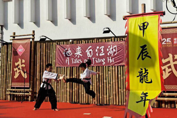 CNY Martial Arts in George Town